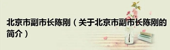 北京市副市长陈刚（关于北京市副市长陈刚的简介）