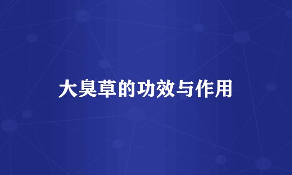 大臭草的功效与作用