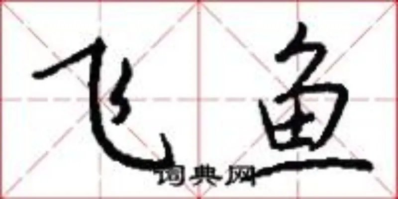 飞鱼