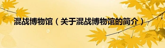 混战博物馆（关于混战博物馆的简介）