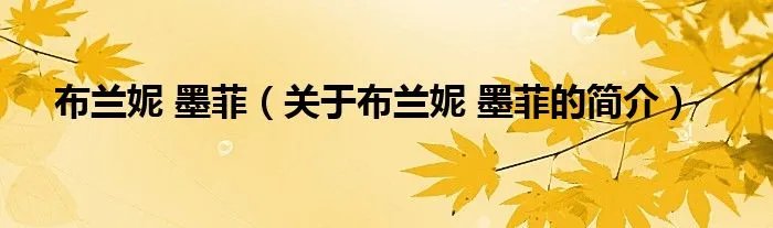 布兰妮 墨菲（关于布兰妮 墨菲的简介）