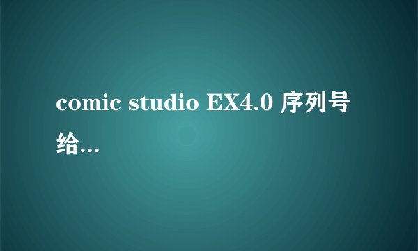 comic studio EX4.0 序列号  给俺一个~