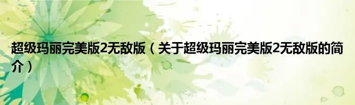 超级玛丽完美版2无敌版（关于超级玛丽完美版2无敌版的简介）