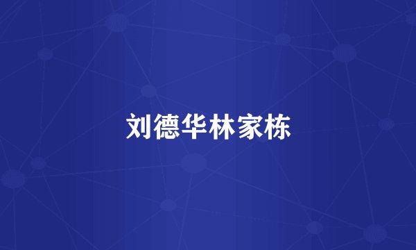 刘德华林家栋