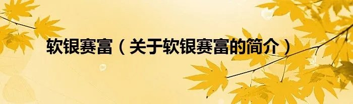 软银赛富（关于软银赛富的简介）