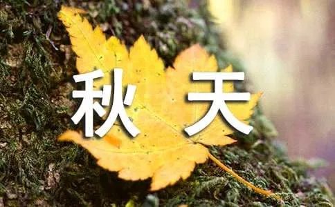 美丽的秋天作文200字