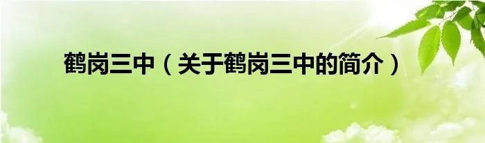 鹤岗三中（关于鹤岗三中的简介）