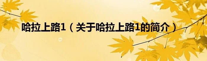 哈拉上路1（关于哈拉上路1的简介）