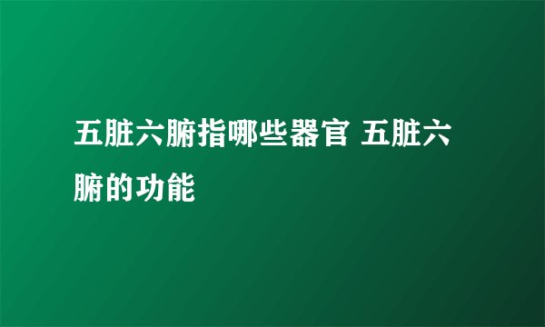 五脏六腑指哪些器官 五脏六腑的功能