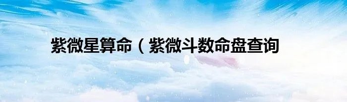 紫微星算命（紫微斗数命盘查询