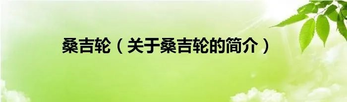 桑吉轮（关于桑吉轮的简介）