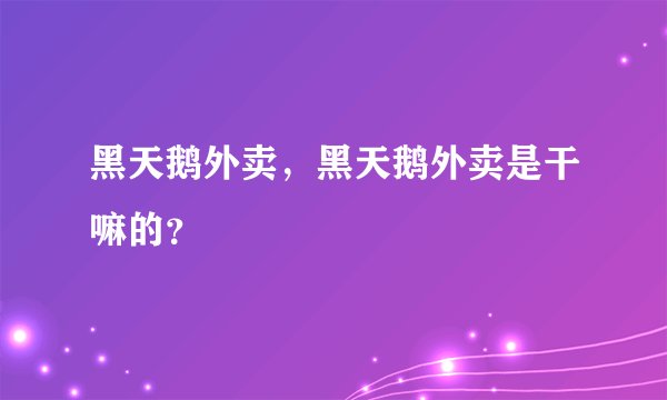 黑天鹅外卖，黑天鹅外卖是干嘛的？