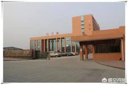 乡镇卫生院医生的工资是多少？