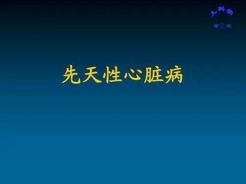 备受网友呵护的“小谢谢”去世了，其背后有着怎样的感人故事？