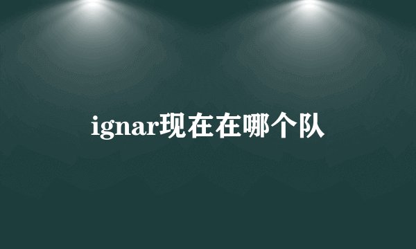 ignar现在在哪个队