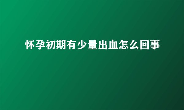 怀孕初期有少量出血怎么回事