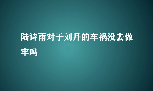 陆诗雨对于刘丹的车祸没去做牢吗