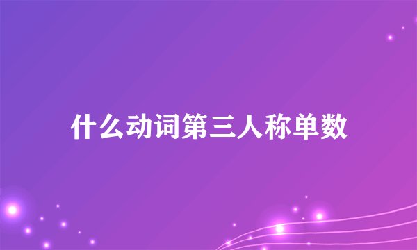 什么动词第三人称单数