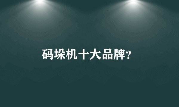 码垛机十大品牌?