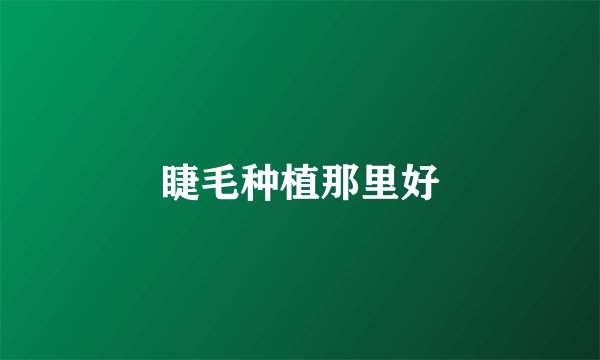 睫毛种植那里好