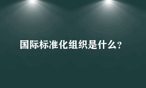 国际标准化组织是什么？