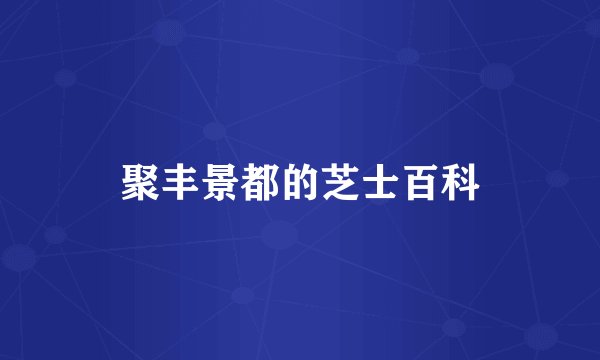 聚丰景都的芝士百科