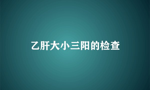 乙肝大小三阳的检查