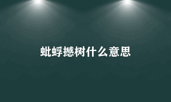 蚍蜉撼树什么意思