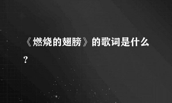 《燃烧的翅膀》的歌词是什么?