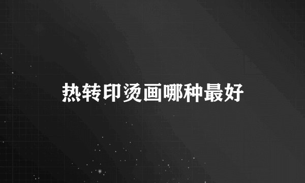 热转印烫画哪种最好