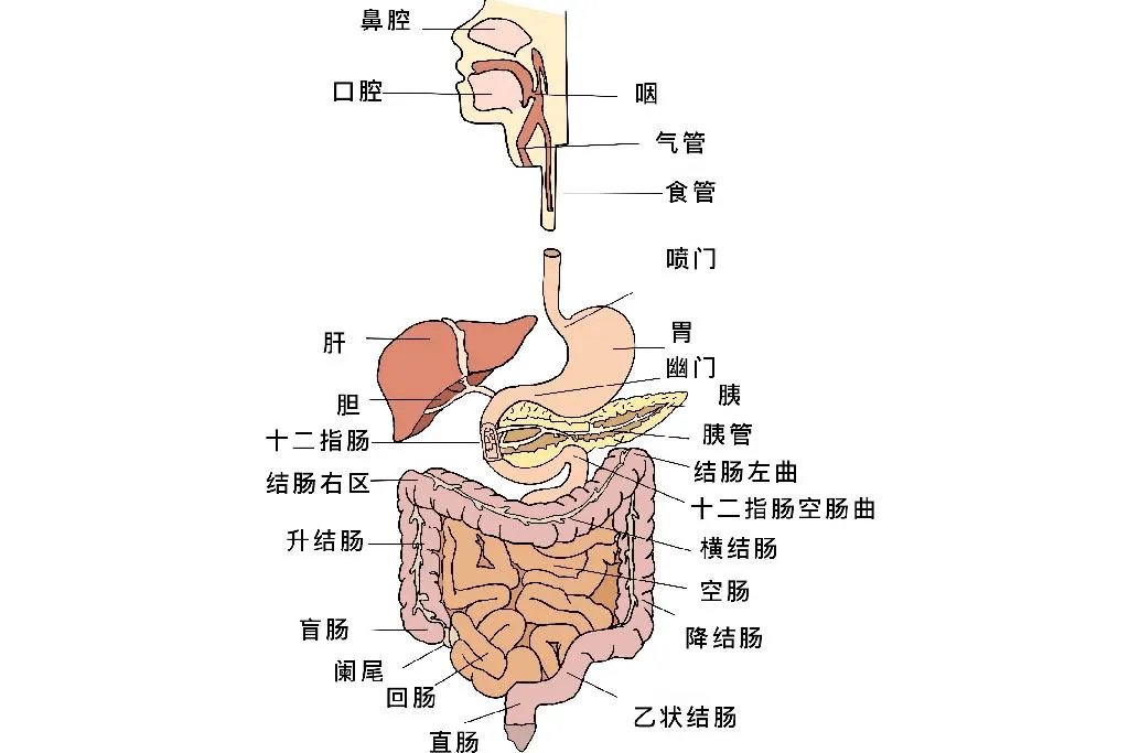 相关推荐