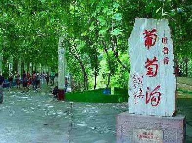 新疆吐鲁番葡萄沟资料有哪些?