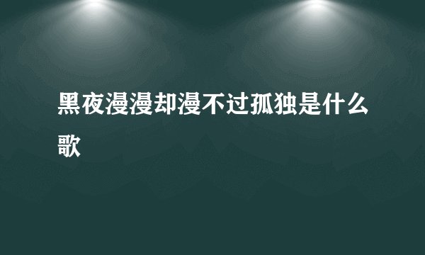 黑夜漫漫却漫不过孤独是什么歌