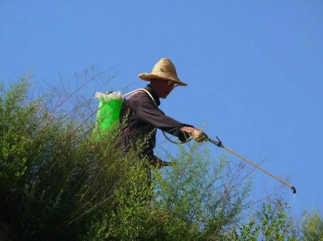 美国禁用草甘膦,大家怎么看待这个事情?