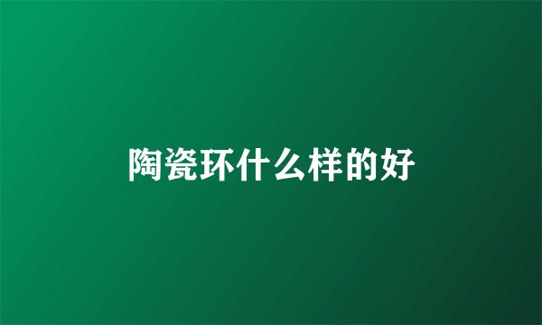陶瓷环什么样的好