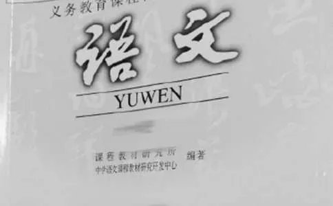 小学语文听课评语
