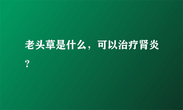 老头草是什么，可以治疗肾炎？