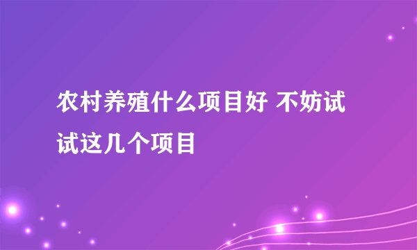 农村养殖什么项目好 不妨试试这几个项目