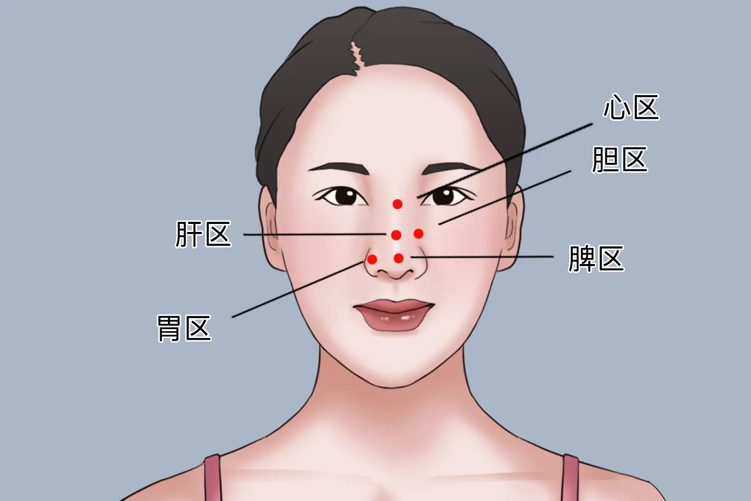 鼻子对应的五脏图