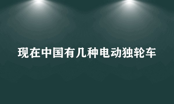 现在中国有几种电动独轮车