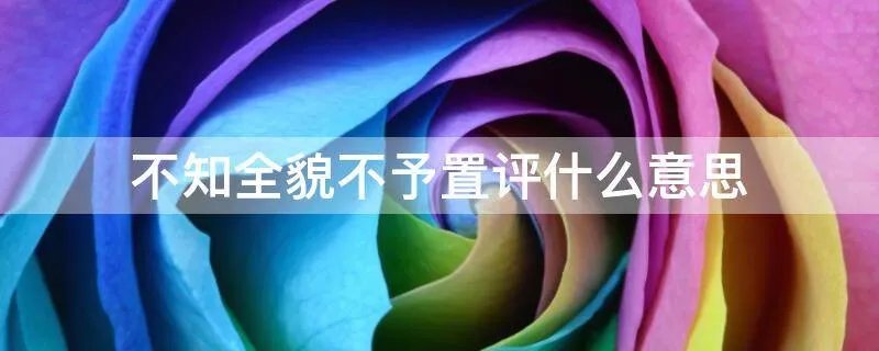 不知全貌不予置评什么意思