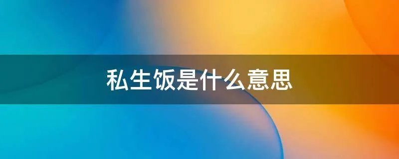 私生饭是什么意思