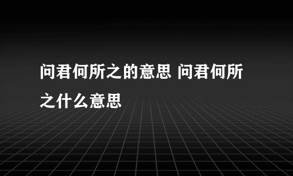 问君何所之的意思 问君何所之什么意思