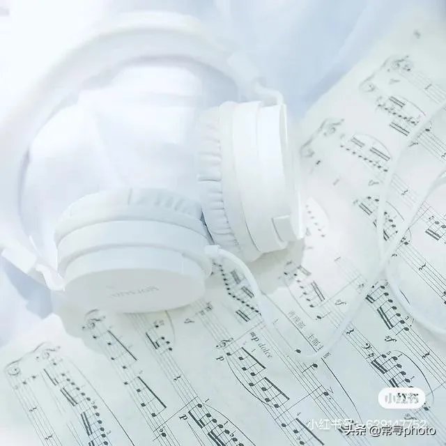 学摄影一定要参加学习班吗？选择什么形式的学习班比较合适？