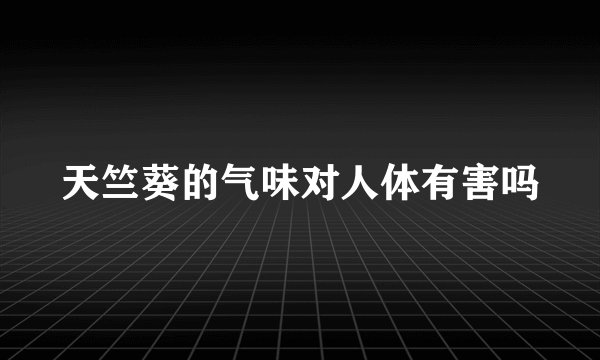 天竺葵的气味对人体有害吗
