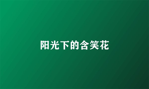 阳光下的含笑花