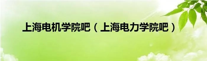 上海电机学院吧（上海电力学院吧）
