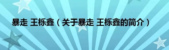 暴走 王栎鑫（关于暴走 王栎鑫的简介）