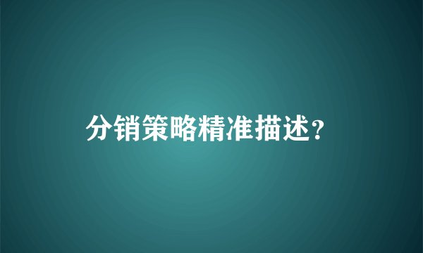分销策略精准描述？
