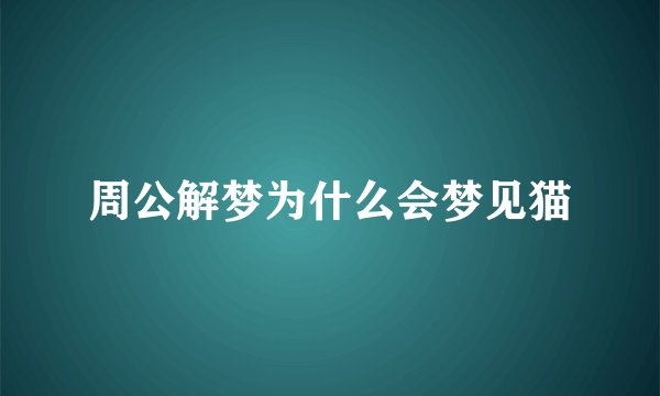 周公解梦为什么会梦见猫